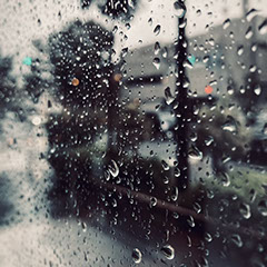 Rainy afternoon